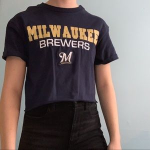 Set of Two Wisconsin DIY Cropped / Crop T-Shirts